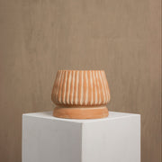 MESO Planter Mateo Terracotta Planter by MESO
