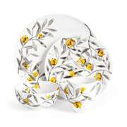 Michael Aram Dinner Plates Pomegranate Dinnerware - 4  Piece Setting