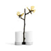 Michael Aram Kitchen Tools & Accessories Michael Aram Butterfly Ginkgo Salt & Pepper Set