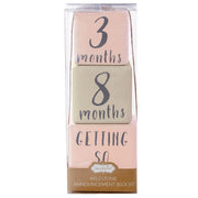 Mud Pie Baby Girl Milestone blocks