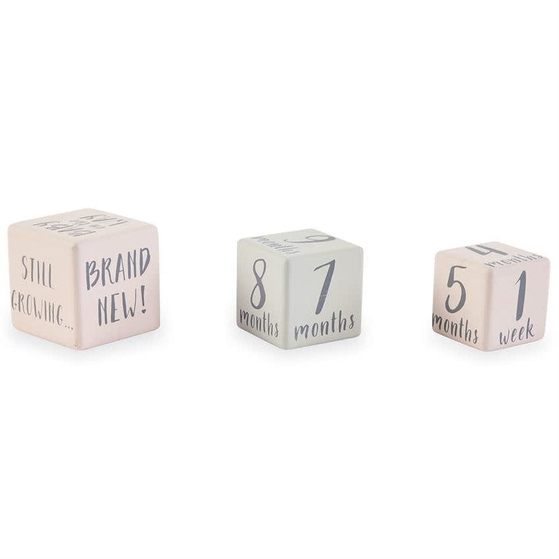 Mud Pie Baby Girl Milestone blocks