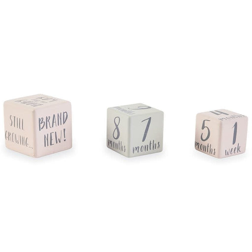 Mud Pie Baby Girl Milestone blocks