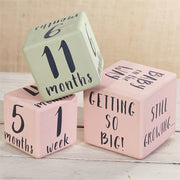 Mud Pie Baby Girl Milestone blocks