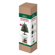 Old World Christmas 18" Mini Tree Pre-lit