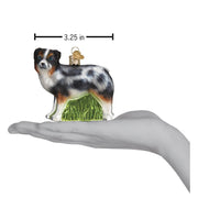 Old World Christmas Australian Shepherd