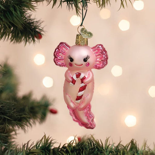 Old World Christmas Axolotl With Candy Cane Ornament