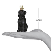 Old World Christmas Black Labrador Ornament