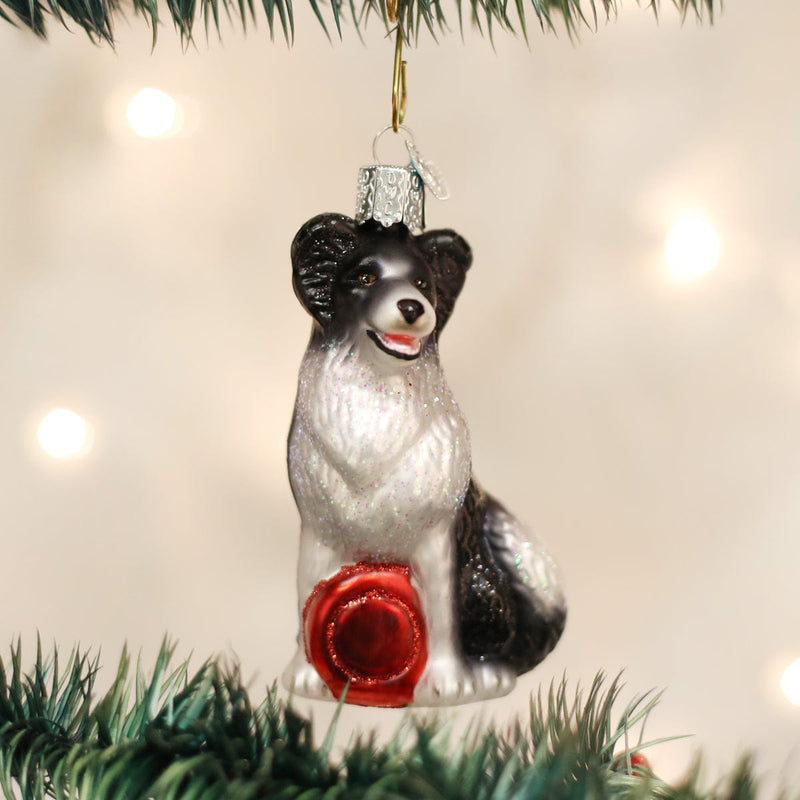 Old World Christmas Border Collie Ornament