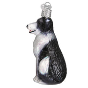 Old World Christmas Border Collie Ornament