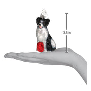 Old World Christmas Border Collie Ornament