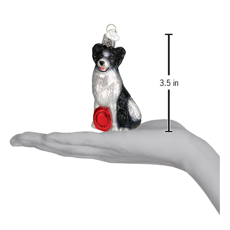 Old World Christmas Border Collie Ornament