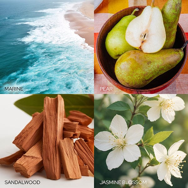 Old World Christmas Calming Peace & Joy Candle