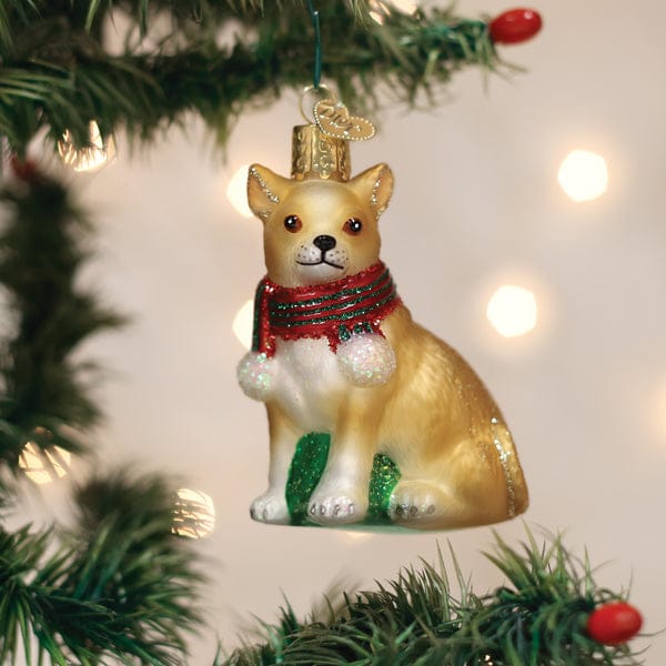 Old World Christmas Chubby Chihuahua Ornament