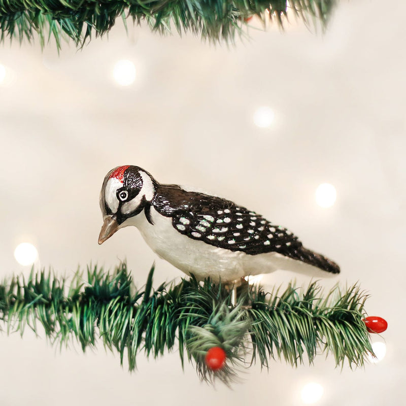 Old World Christmas Clip-On Hairy Woodpecker