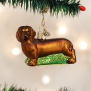 Old World Christmas Dachshund Christmas Ornament