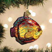 Old World Christmas Discus Fish Ornament