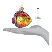 Old World Christmas Discus Fish Ornament