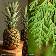 Old World Christmas Fresh Balsam Fir Candle