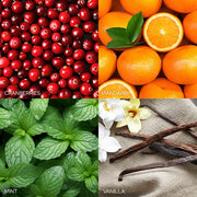 Old World Christmas Frosted Cranberry Mandarin Candle