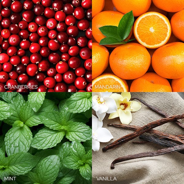 Old World Christmas Frosted Cranberry Mandarin Candle