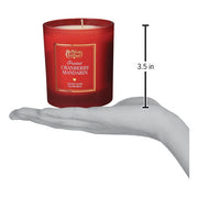 Old World Christmas Frosted Cranberry Mandarin Candle