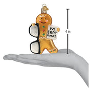 Old World Christmas Gingerbread Optometrist Ornament