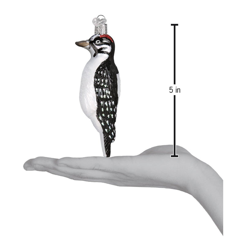 Old World Christmas Hanging Hairy Woodpecker