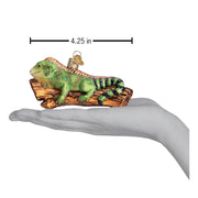 Old World Christmas Iguana Ornament