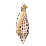 Old World Christmas Junonia Shell Ornament
