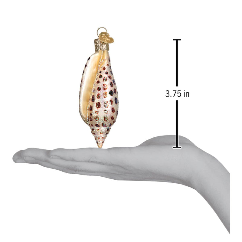 Old World Christmas Junonia Shell Ornament