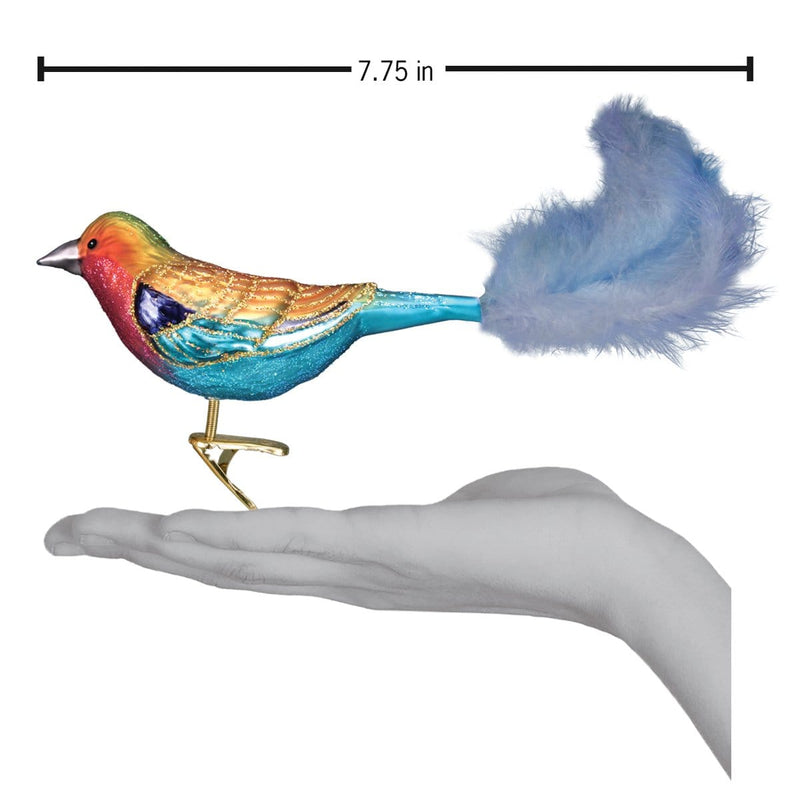 Old World Christmas Lilac-breasted Roller