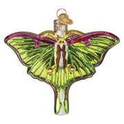 Old World Christmas Luna Moth Ornament