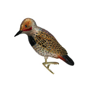Old World Christmas Northern Flicker Ornament