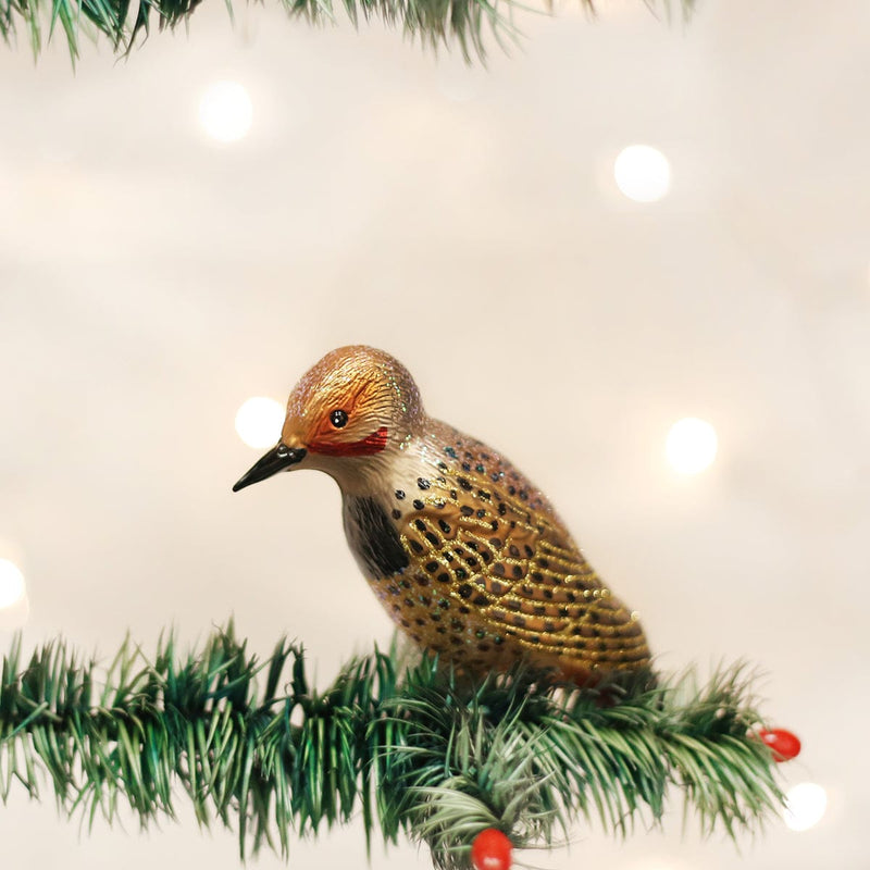 Old World Christmas Northern Flicker Ornament