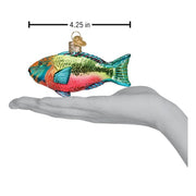 Old World Christmas Parrotfish Ornament