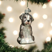 Old World Christmas Puppy Pitbull Christmas Ornament