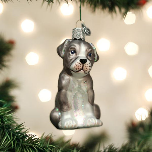Old World Christmas Puppy Pitbull Christmas Ornament