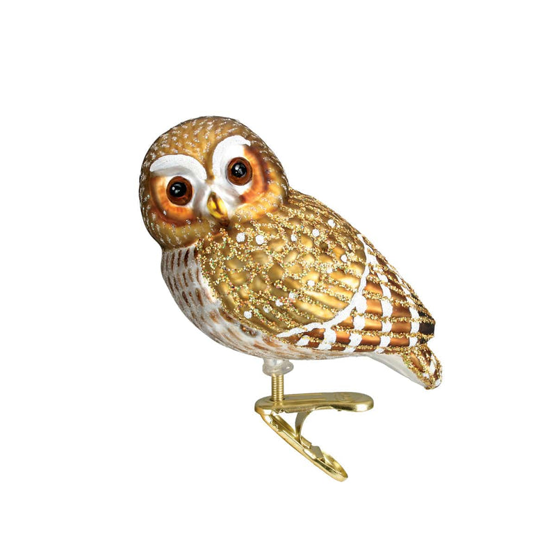 Old World Christmas Pygmy Owl Ornament