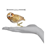 Old World Christmas Pygmy Owl Ornament
