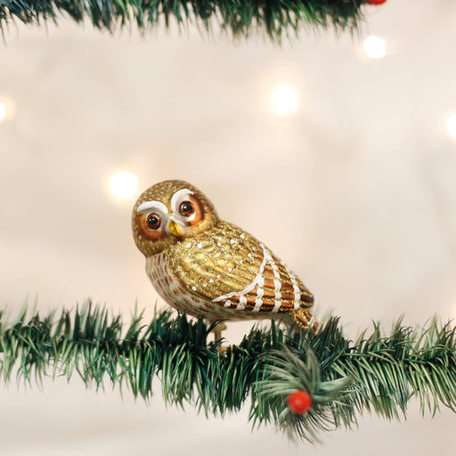 Old World Christmas Pygmy Owl Ornament