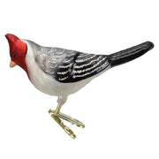 Old World Christmas Red-crested Cardinal Ornament
