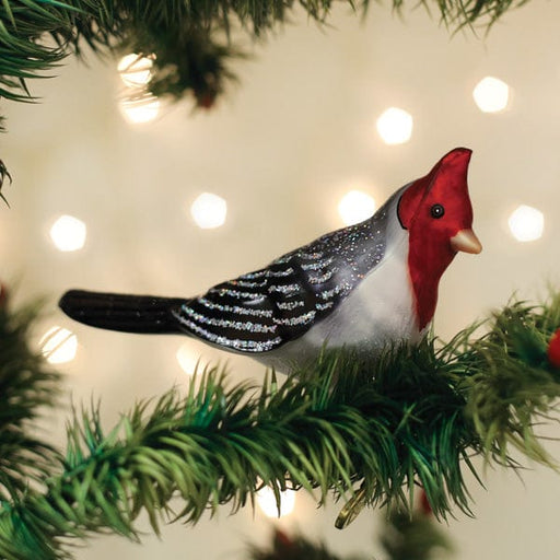 Old World Christmas Red-crested Cardinal Ornament