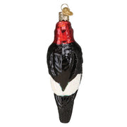 Old World Christmas Red-headed Woodpecker Ornament