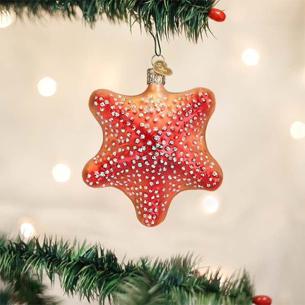 Old World Christmas Red Starfish Ornament