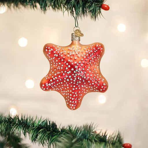 Old World Christmas Red Starfish Ornament