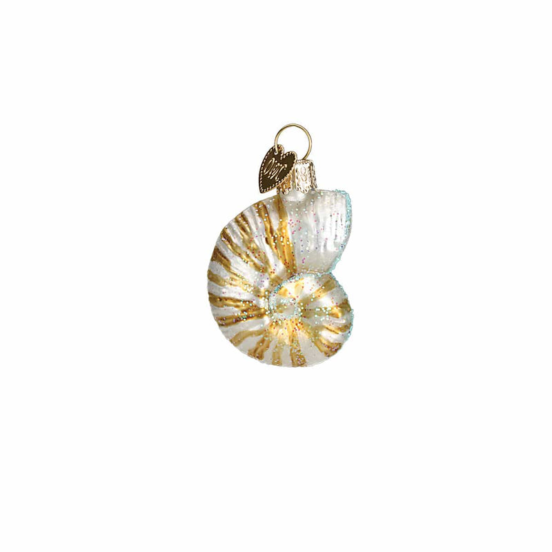 Old World Christmas Sea Shell Christmas Ornament Set