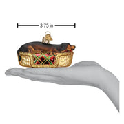 Old World Christmas Sleepy Dachshund Ornament