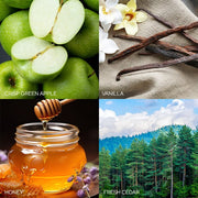 Old World Christmas Sparkling Apple Cider Candle