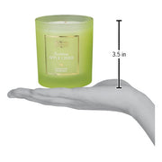 Old World Christmas Sparkling Apple Cider Candle