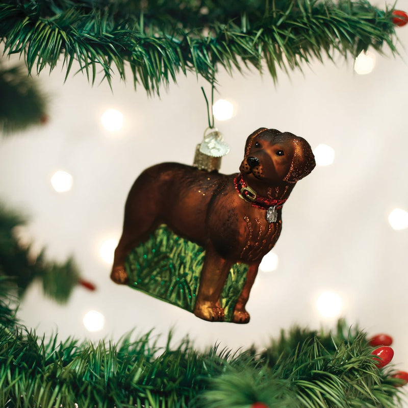 Old World Christmas Standing Chocolate Lab Ornament